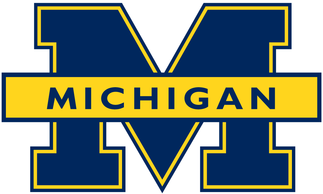 Michigan Wolverines 1996-2011 Primary Logo diy iron on heat transfer